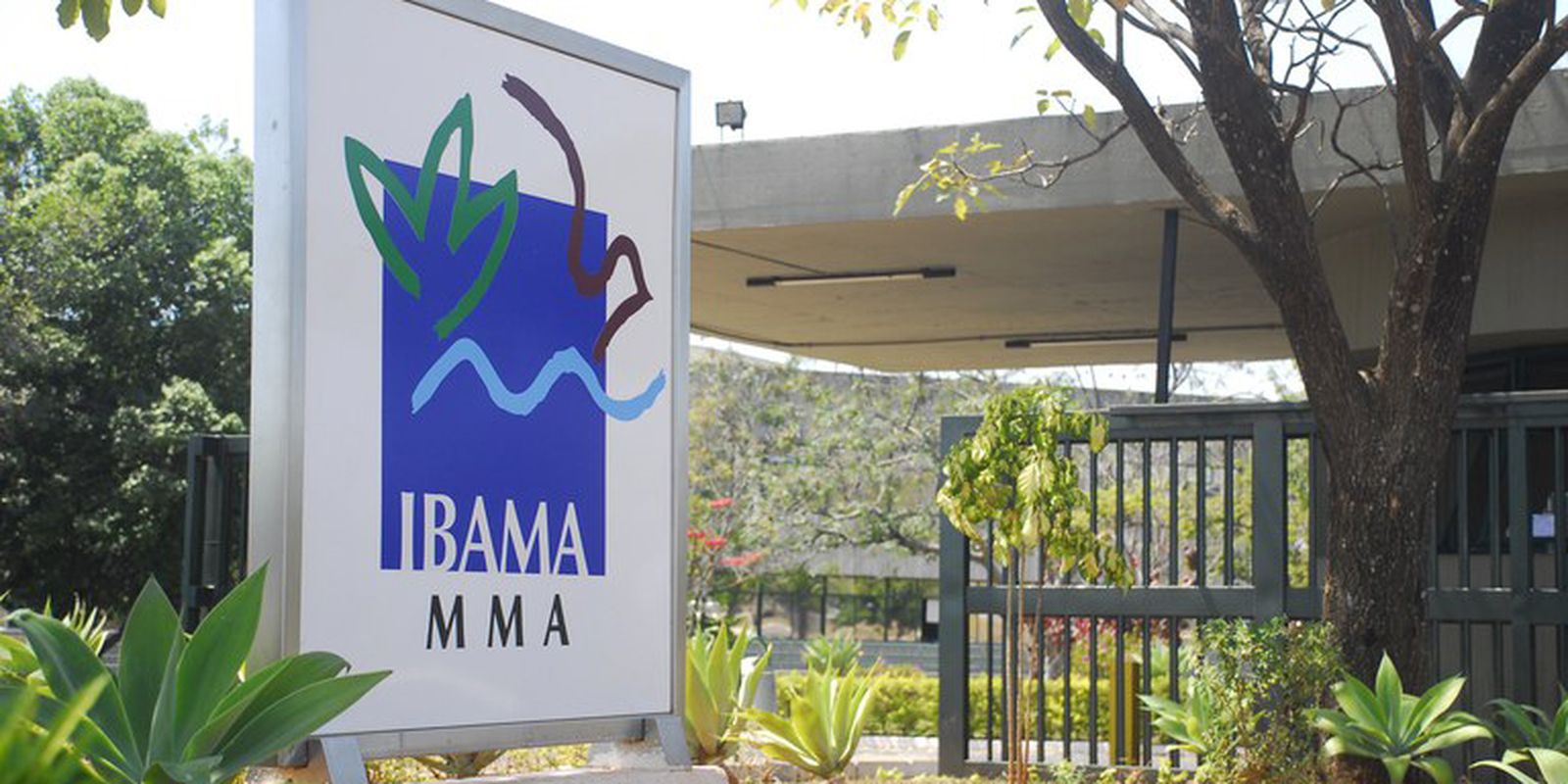 Ibama divulga locais de prova do concurso 2025 para 460 vagas