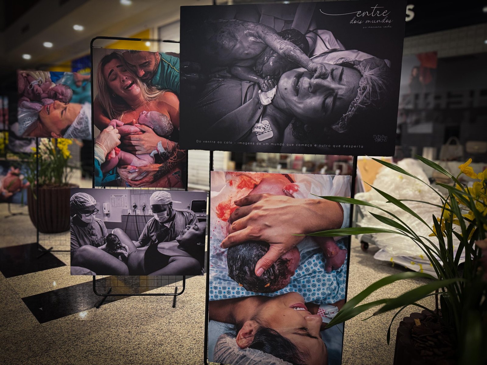 Exposição “Entre Dois Mundos” celebra o amor materno no Dia das Mães