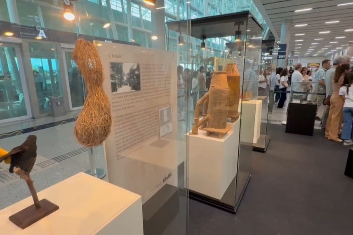 Exposição “O Legado Suíço-Brasileiro na Amazônia: Arte, Ciência e Sustentabilidade” chega a Natal
