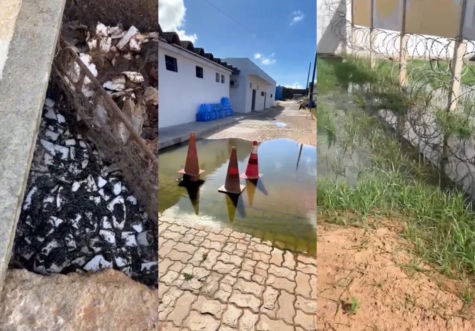 [VÍDEO] Sindicalista denuncia esgoto a céu aberto e proliferação de ratos, baratas e mosquitos no Complexo de Alcaçuz